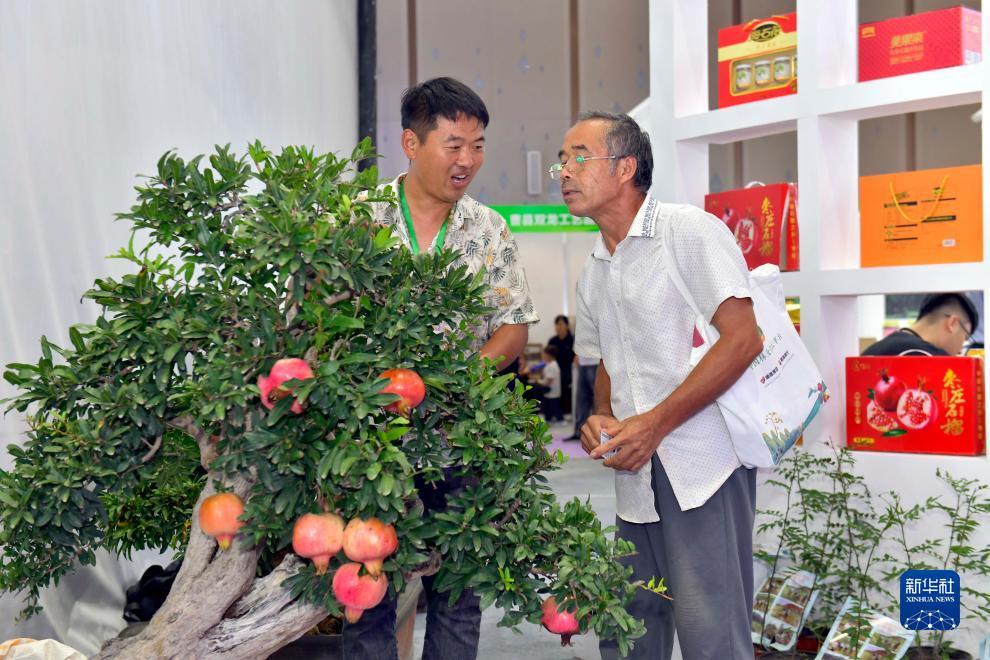 实况足球进阶